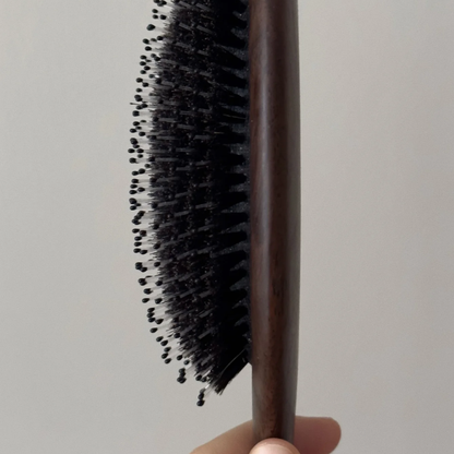 Hair Brush/Everyday